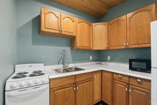 Single Family Residence,  Buena Vista lane, Russian River, CA 95436 - 10