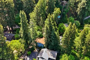 Single Family Residence,  Buena Vista lane, Russian River, CA 95436 - 40