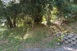 Residential Lot,  Washington avenue, Sebastopol, CA 95472 - 7