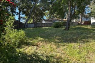 Residential Lot,  Washington avenue, Sebastopol, CA 95472 - 3