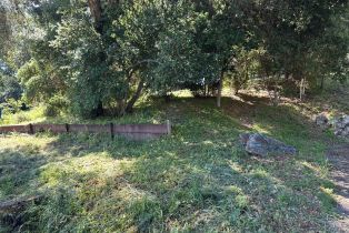 Residential Lot,  Washington avenue, Sebastopol, CA 95472 - 9