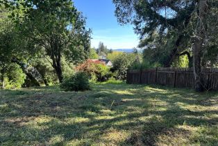 Residential Lot,  Washington avenue, Sebastopol, CA 95472 - 4