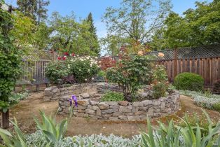 Single Family Residence,  Slater street, Santa Rosa, CA 95404 - 33