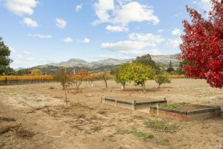 Single Family Residence, Silverado trail, Napa, CA 94558 - 37