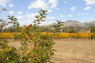 Single Family Residence, Silverado trail, Napa, CA 94558 - 38