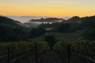 Single Family Residence, Redwood road, Napa, CA 94558 - 49