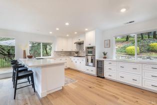 Single Family Residence,  Chiquita road, Healdsburg, CA 95448 - 9