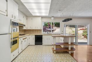 Single Family Residence,  Trenton road, Russian River, CA 95436 - 29