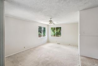 Single Family Residence,  Trenton road, Russian River, CA 95436 - 24