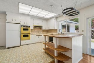 Single Family Residence,  Trenton road, Russian River, CA 95436 - 30