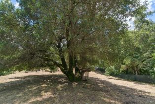 Single Family Residence,  Trenton road, Russian River, CA 95436 - 17