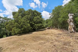 Single Family Residence,  Trenton road, Russian River, CA 95436 - 14