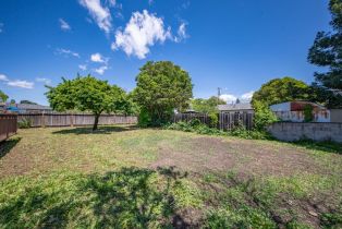 Single Family Residence, Bellevue avenue, Napa, CA 94558 - 26