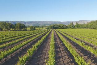 Residential Acreage,  Yount Mill road, Napa, CA 94558 - 4