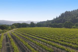 Residential Acreage,  Yount Mill road, Napa, CA 94558 - 8