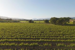 Residential Acreage,  Yount Mill road, Napa, CA 94558 - 10
