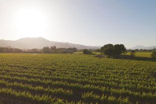 Residential Acreage,  Yount Mill road, Napa, CA 94558 - 12