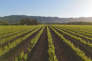 Residential Acreage,  Yount Mill road, Napa, CA 94558 - 9