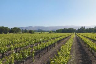 Residential Acreage,  Yount Mill road, Napa, CA 94558 - 5
