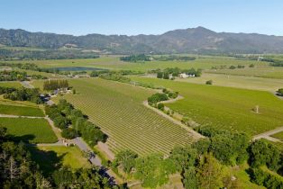 Land, 1300 Yount Mill Rd, Napa, CA  Napa, CA 94558