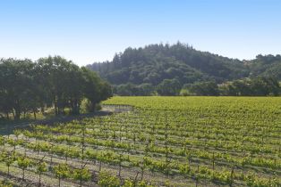 Residential Acreage,  Yount Mill road, Napa, CA 94558 - 7