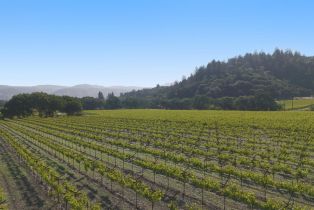 Residential Acreage,  Yount Mill road, Napa, CA 94558 - 6