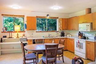 Single Family Residence,  Drake road, Russian River, CA 95446 - 14