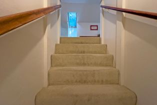 Single Family Residence,  Drake road, Russian River, CA 95446 - 22