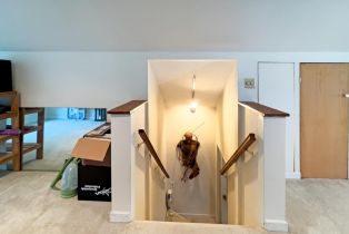 Single Family Residence,  Drake road, Russian River, CA 95446 - 25