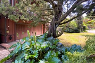 Single Family Residence, 14600 Drake Rd, Russian River, CA  Russian River, CA 95446