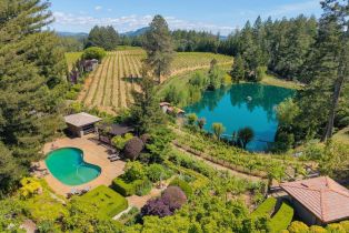 Single Family Residence,  Dry Creek road, Healdsburg, CA 95448 - 55