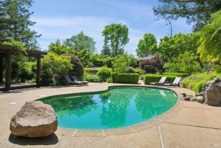 Single Family Residence,  Dry Creek road, Healdsburg, CA 95448 - 41
