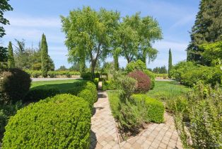 Single Family Residence,  Dry Creek road, Healdsburg, CA 95448 - 47