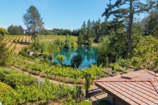 Single Family Residence,  Dry Creek road, Healdsburg, CA 95448 - 58