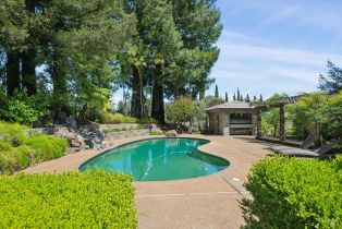 Single Family Residence,  Dry Creek road, Healdsburg, CA 95448 - 40
