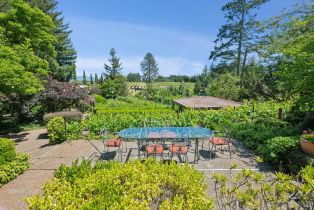 Single Family Residence,  Dry Creek road, Healdsburg, CA 95448 - 36