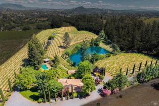 Single Family Residence,  Dry Creek road, Healdsburg, CA 95448 - 57