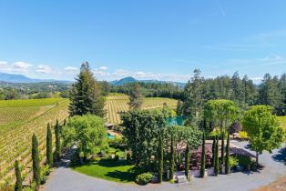 Single Family Residence,  Dry Creek road, Healdsburg, CA 95448 - 2