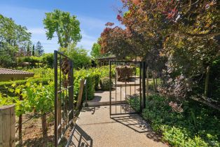 Single Family Residence,  Dry Creek road, Healdsburg, CA 95448 - 45