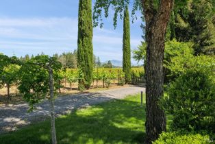 Single Family Residence,  Dry Creek road, Healdsburg, CA 95448 - 48