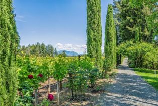 Single Family Residence,  Dry Creek road, Healdsburg, CA 95448 - 54