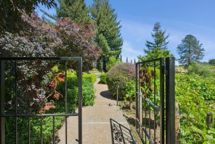 Single Family Residence,  Dry Creek road, Healdsburg, CA 95448 - 39