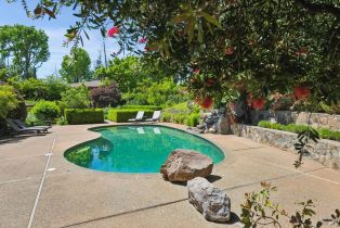 Single Family Residence,  Dry Creek road, Healdsburg, CA 95448 - 43