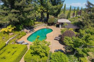 Single Family Residence,  Dry Creek road, Healdsburg, CA 95448 - 42
