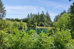 Single Family Residence,  Dry Creek road, Healdsburg, CA 95448 - 46