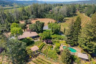 Single Family Residence,  Dry Creek road, Healdsburg, CA 95448 - 61