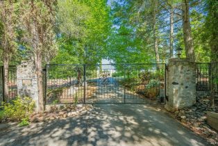 Single Family Residence,  Dry Creek road, Healdsburg, CA 95448 - 63