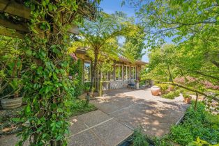 Single Family Residence,  Dry Creek road, Healdsburg, CA 95448 - 7
