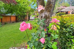 Single Family Residence,  Northern avenue, Russian River, CA 95446 - 33