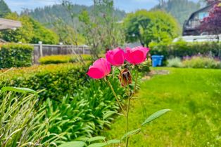 Single Family Residence,  Northern avenue, Russian River, CA 95446 - 35